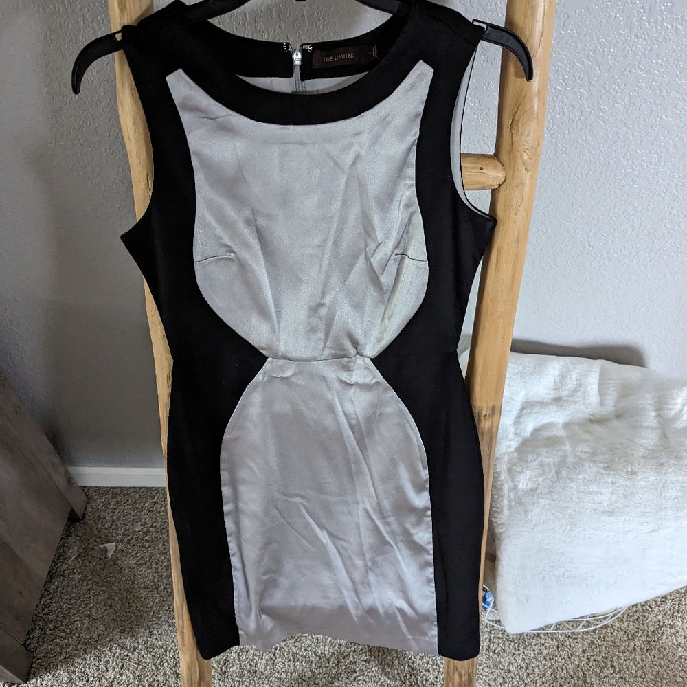 Limited Silver and Black Bodycon Dress